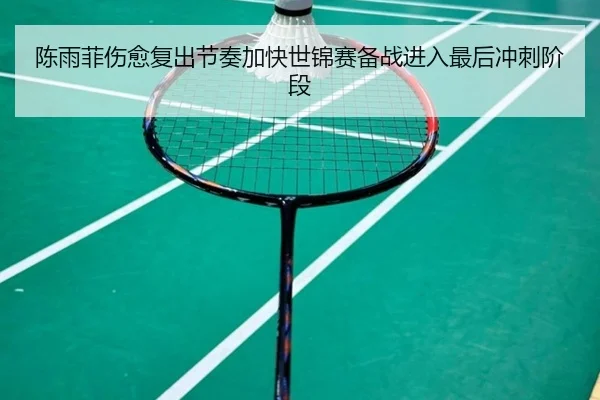 陈雨菲伤愈复出节奏加快世锦赛备战进入最后冲刺阶段